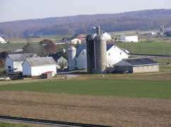 Amish Farm