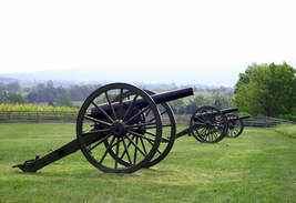Cannon